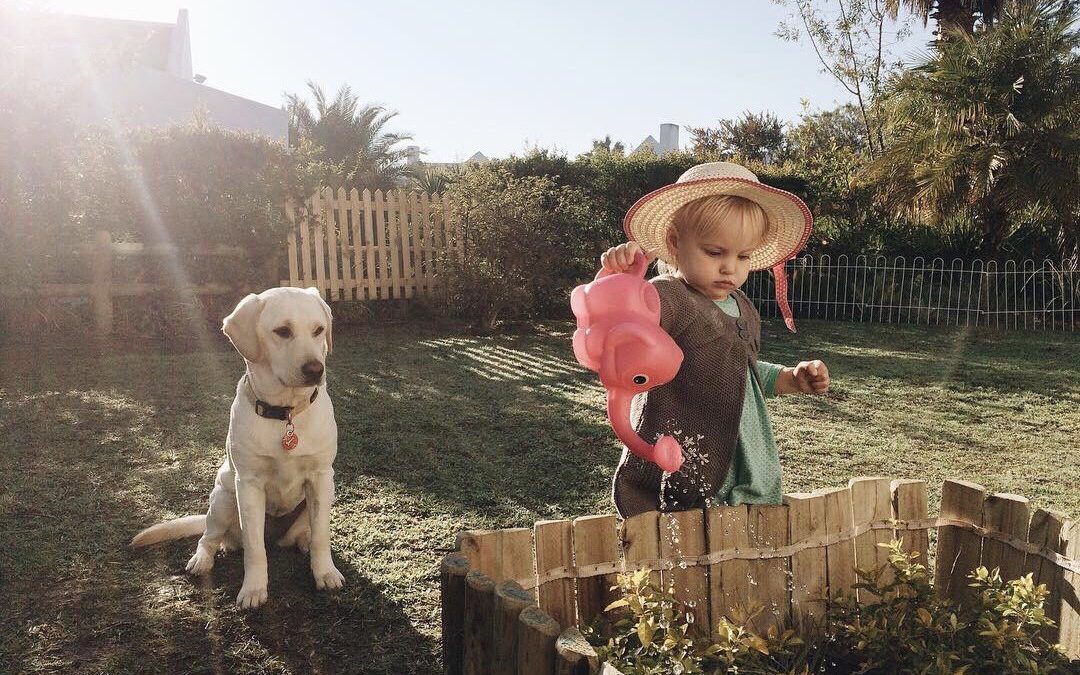 Comment aménager un espace pour les enfants dans le jardin ?