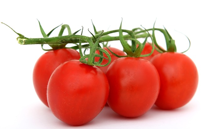 La bouillie de bordeaux : méthode ultime pour traiter les tomates