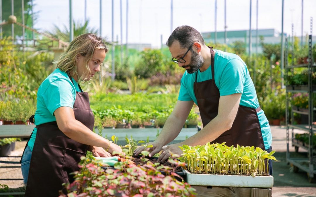 Chaussures de jardin : protéger vos pieds dans le jardin !