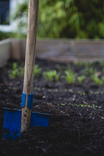 Comment entretenir son potager?