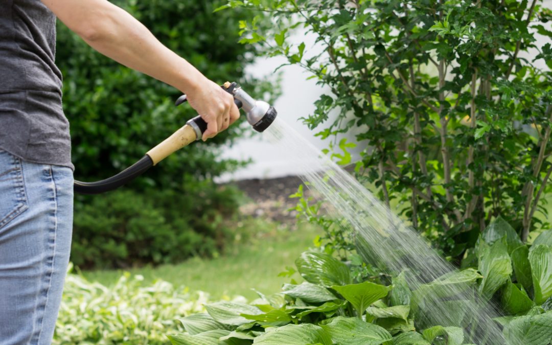 Prendre soin du jardin, que utiliser ?