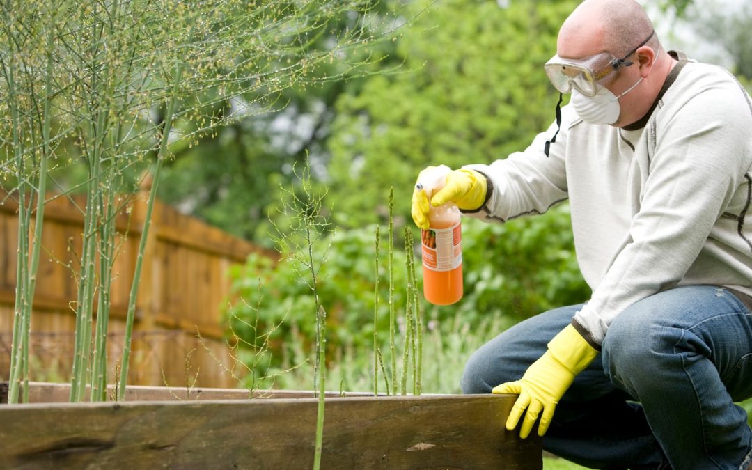 Remettez votre jardin à un professionnel : Les erreurs que commettent les jardiniers amateurs